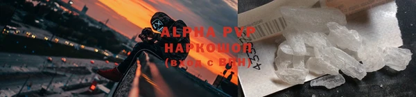 шишки Кодинск