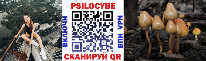 Купить где  Аткарск  Псилоцибиновые грибы GOLDEN TEACHER 